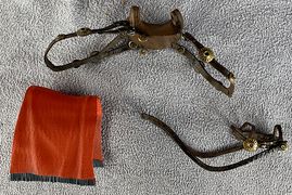 12-VHacks-Mighty-Steeds-Roman-A.jpg