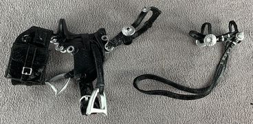 07-VHacks-Mighty-Steeds-Australian-B.jpg