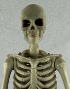 06-bossfightstudio-epic-hacks-skeleton-gladiator.jpg