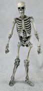 01-hacks-evil-skeleton-front.jpg
