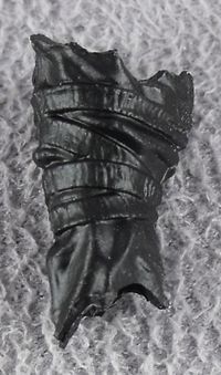 14-naga-wrap-black-character-kit.JPG