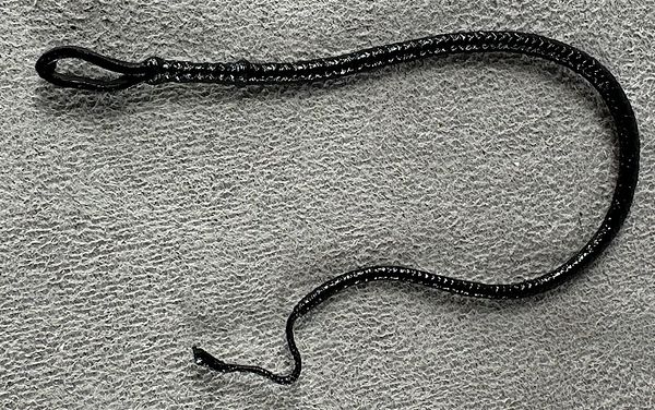 12-bossfightstudio-hero-hacks-zorro-gay-blade-zorro-whip - title.jpg