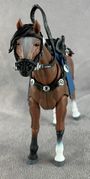 07-VHacks-Mighty-Steeds-Roman-B.jpg