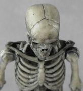 04-warrior-skeleton-skull.jpg