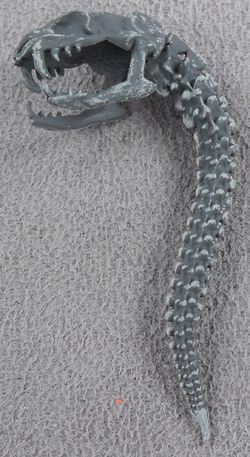 Gorgon-snake-skull-stone.jpg