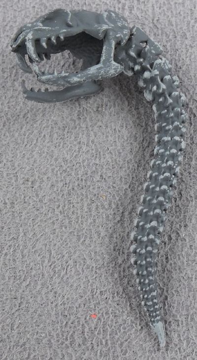 Gorgon-snake-skull-stone.jpg