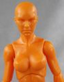 22-female-sunset-front.jpg