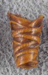 05-elven-wrist-covering-r.jpg