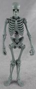 Hacks-skeleton-gray-01.jpg
