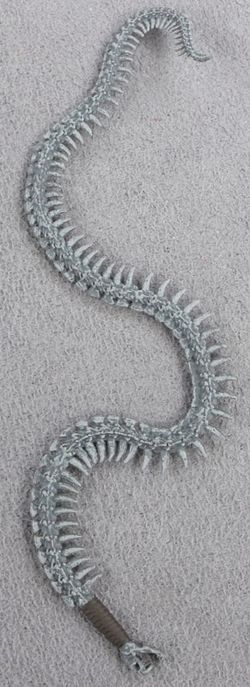 Snake-whip-worn-bone.jpg