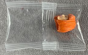 Bossfightstudio-vitruvian-hacks-advent-calendar-2020-day-21.jpg