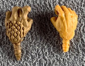 20-naga-hands-corrected.jpg