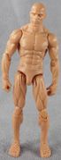 25-champagne-male-front.jpg