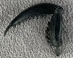 05-mantis-claw(l)-black.jpg