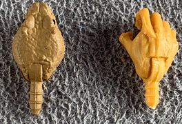 20-naga-hands-set-02.jpg