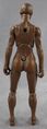 21-female-walnut-back.jpg
