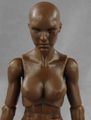 22-female-walnut-face.jpg