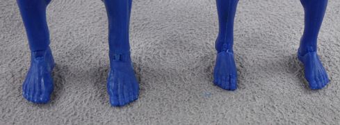 25-female-male-hero-feet.jpg