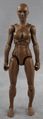 20-female-walnut-front.jpg
