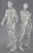14-male-female-transparent.jpg