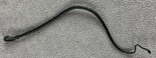 Bossfightstudio-hero-hacks-zorro-v1 (acc-05-whip).jpg