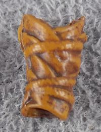 06-elven-wrist-covering-l.jpg