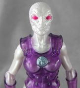 06-serpentess-armor.jpg