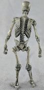 02-hacks-evil-skeleton-back.jpg
