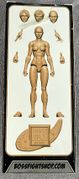 25-vitruvianhacks-blank-light-fawn-female-box.jpg